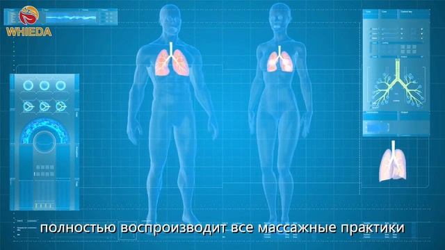 Биоэнергомассажер Whieda - 5 массажных практик традиционной китайской медицины. смотреть онлайн