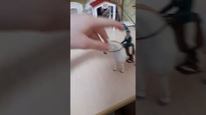 тренировка лошади шляйх