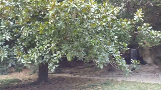 Сочи2019 смотреть онлайн