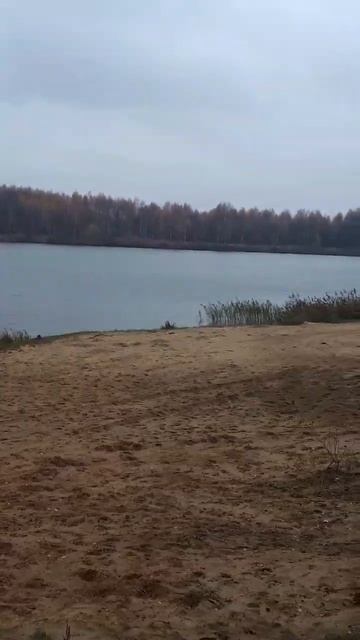 #рыбалка#собака# смотреть онлайн