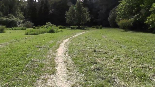 Ботанический сад москва 9.06.15 .г 06 09 2015 154848 смотреть онлайн