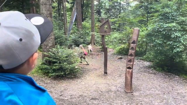 Наши будни в Германии/ покупки в магазине ИКЕА/ мои цели 🎯/ проста Катя❤️ смотреть онлайн