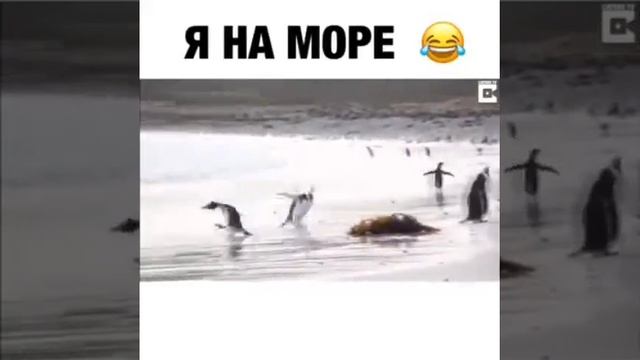 Вуыыы смотреть онлайн