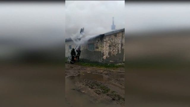 Пожар телятника 19 08 2020 смотреть онлайн