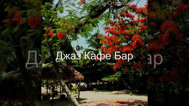 Умная Впечатления смотреть онлайн