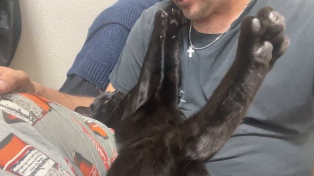 5 декабря 2021 г. смотреть онлайн