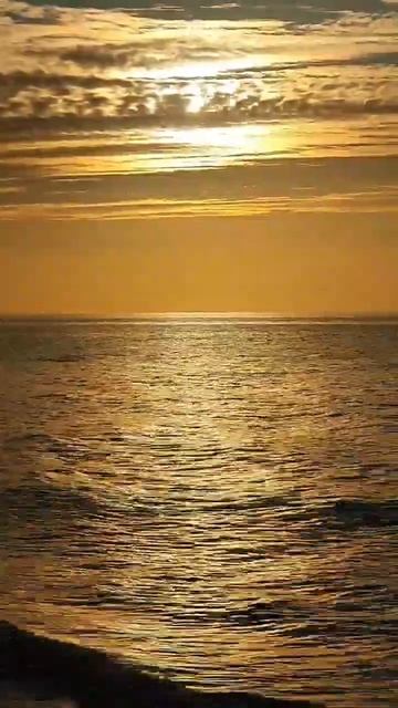 Фильм 4961 Золото Светлогорска #nemosvetlogorsk #minihotelkautikapitananemo смотреть онлайн