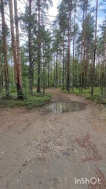 Сямозеро Карелия смотреть онлайн