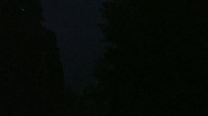 Голуби Алексеева Ю. лучшие летуны в Украине!