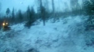 Т 130-дорога по вырубам.......часть 4