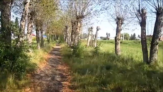 родные места смотреть онлайн
