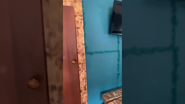 Алтай. Чемал. Сдам дом 5 ком. смотреть онлайн