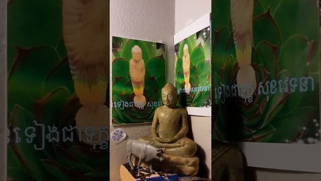 មិនទៀងជាទុក្ខ សុខវេទនា បិដក ២៩/៨៩ រូបតែងចាស់ជរា នាមគោត្រមិនចាស់ជរា រាគ:ជាផ្លូវខុស смотреть онлайн