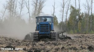 Трактор ДТ-75М Казахстан  с бороной БДТ-3 на повторном дисковании