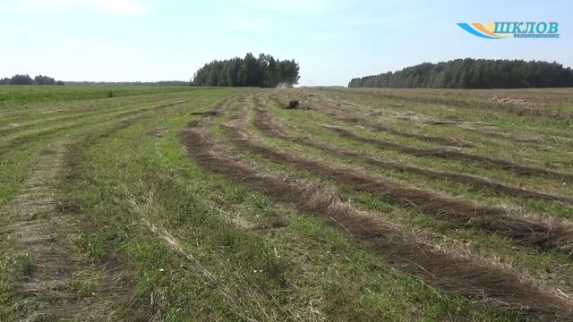 ОАО «Шкловский льнозавод» занимается оборачиванием и прессованием льна смотреть онлайн