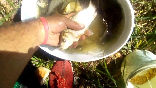 Суботцы рыбалка. смотреть онлайн