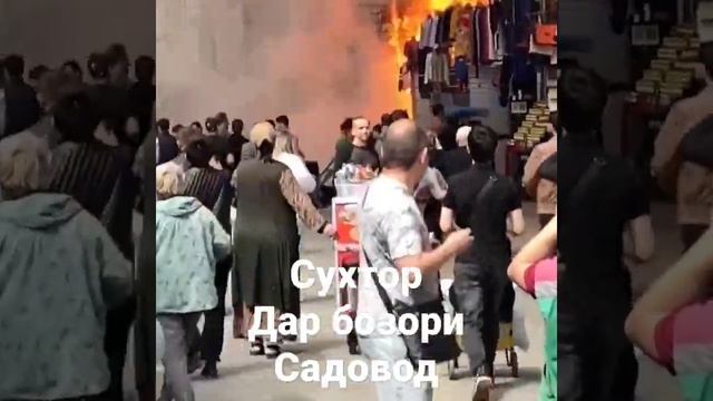 сухтор дар бозори Садовод 13:06:23 #2023 #садоводмосква смотреть онлайн