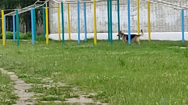 Шостка.Лето 2023