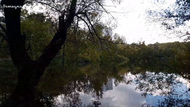 Бирюлёво Восточное. Прогулки по Москве смотреть онлайн