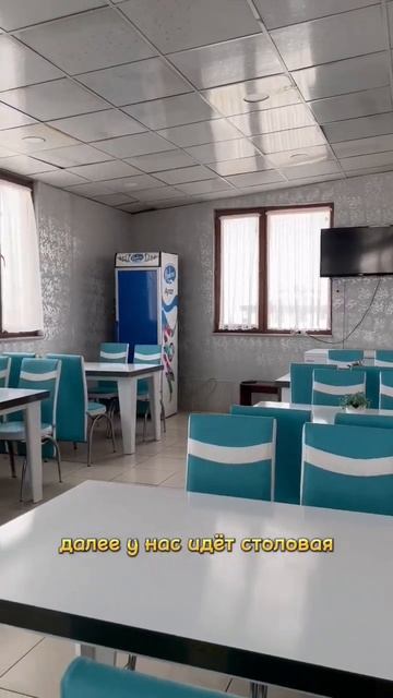 #общежитие #турция #часть3 #dormitory #shortsvideo #tbt #видеокаждыйдень смотреть онлайн