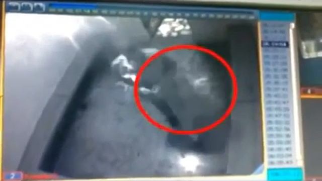 Приведение в тюрьме Междуреченска смотреть онлайн