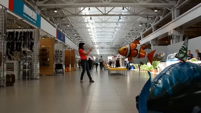 Air Swimmers Redhill.mov смотреть онлайн