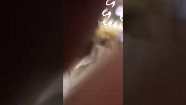 "Ассалом Навруз!" 2017 Москва, Люблино смотреть онлайн