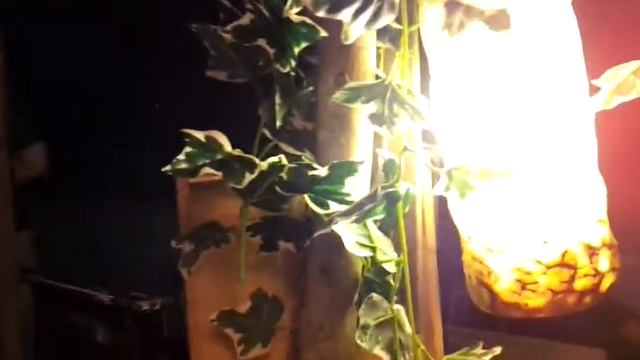 ТАЙСКИЕ ВЕЧЕРА--(ТАЛЫШ) смотреть онлайн