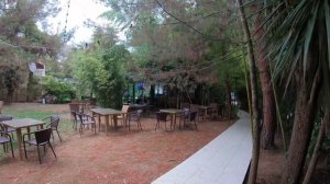 Лдзаа. Отель Апсара. Обзор номера. Обед - шведский стол