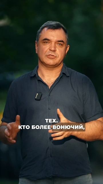 ЗАКОН "ВОНЮЧЕГО" КЛИЕНТА. КОГО ПЕРВОГО? #юрийкоп #понаехавший #бизнес #клиенты #официанты #бар #каф смотреть онлайн