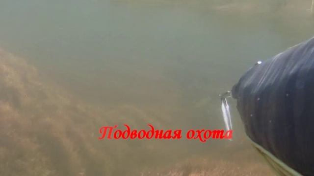 П.О. р.Или 2011 ч.1 смотреть онлайн