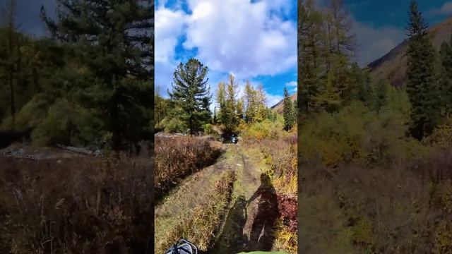 Курай смотреть онлайн