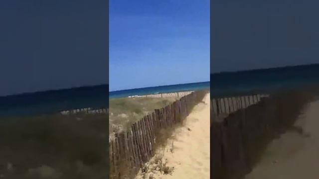 Дикий пляж смотреть онлайн