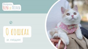 О людях и кошках (аудио). Вопросы Веры и Фомы