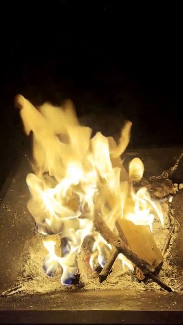 АЛТАЙСКИЙ ОГОНЬ #shorts смотреть онлайн