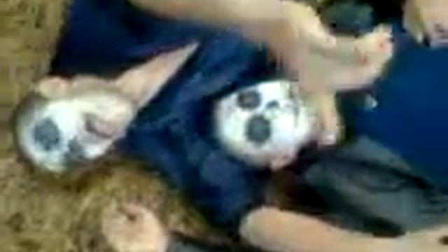 Видео0000 смотреть онлайн
