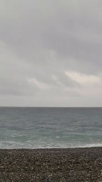 ФТ Сириус. Набережная. #сириус #олимпийскийпарк #отдых #сочи #shorts смотреть онлайн