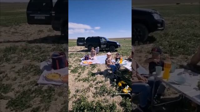 Воскресный отдых в степи! смотреть онлайн