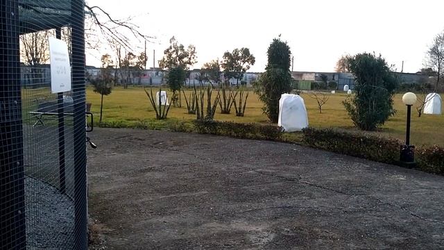 Санаторий Знание в Сочи. Прогулка по территории. смотреть онлайн