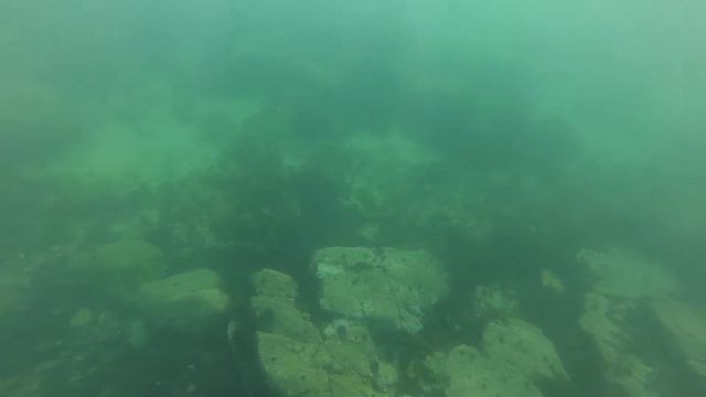 Turbot HD2 смотреть онлайн