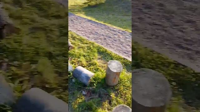 Гостиница для насекомых: Букашкин дом в Дулёвском парке культуры и отдыха смотреть онлайн