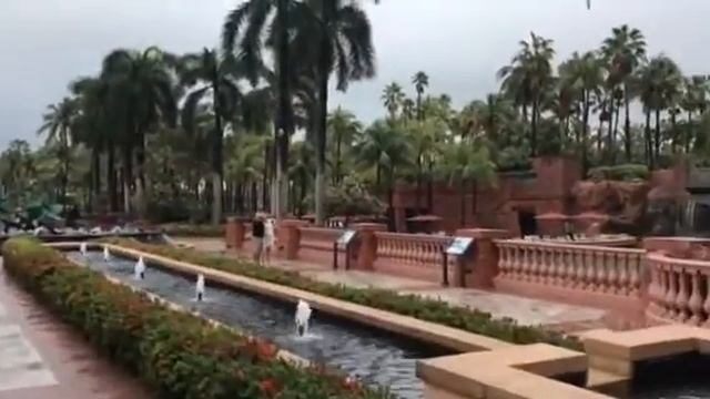 Багамы. Отель Атлантис смотреть онлайн