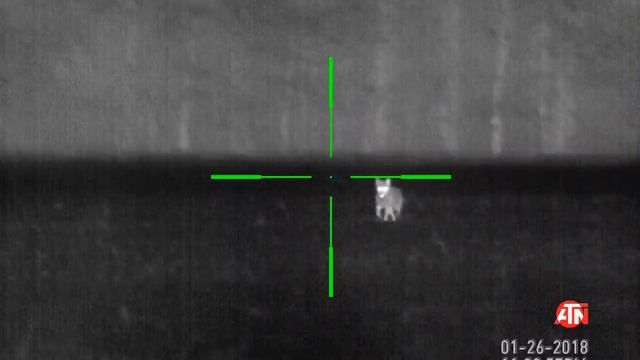 Atn Thor 640 5-50 thermal coyote double! смотреть онлайн