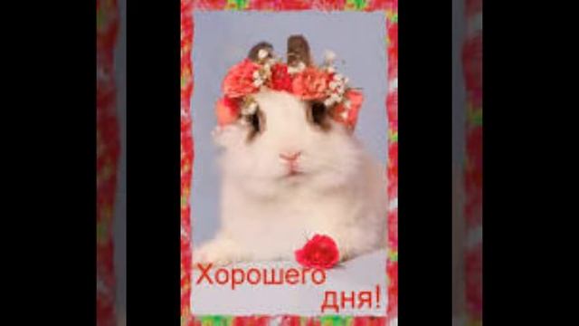 ДОБРЫЙ ДЕНЬ смотреть онлайн
