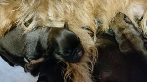 Мы родились 13.03.25 г.