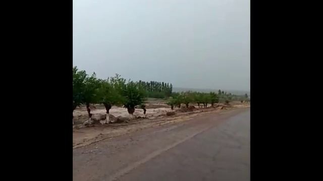 Кадамжай районундагы сел короолорду, эгин талааларды, жергиликтүү базарды каптады смотреть онлайн