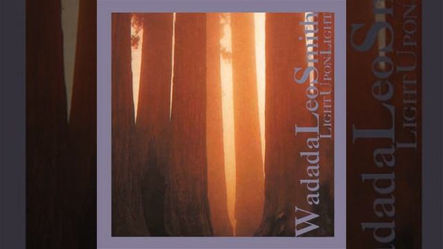 Moths, Flames And The Giant Sequoia Redwood Trees