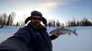 Рыбалка на реке. Погоня за трофеем. Часть третья.