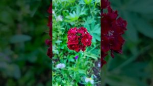 АУДИОКНИГА "НИЧЕГО ОСОБЕННОГО" ВИКТОРИЯ ТОКАРЕВА.РАССКАЗ