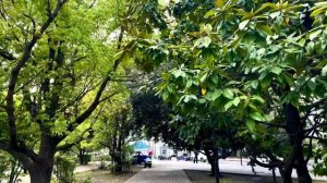 Обзор города Хоста Краснодарский край